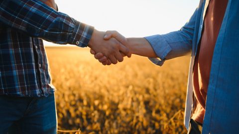 Agricultores se saludan